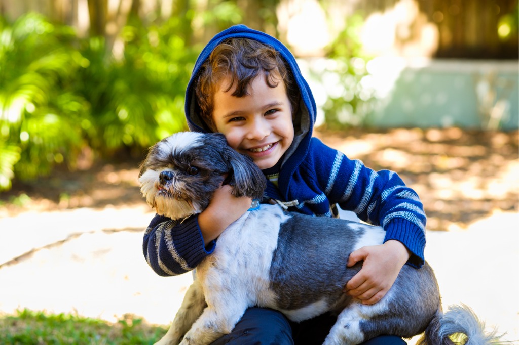 Therapy Dogs