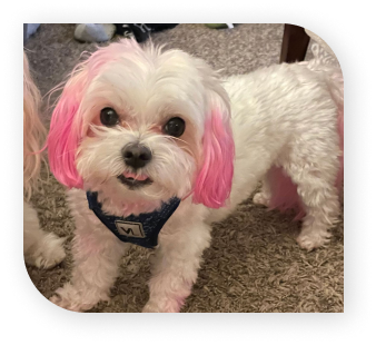 Braxton's staff picture.