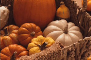 a layout of gourds and squash in a rustic basket. Image for article on navigating the holidays.